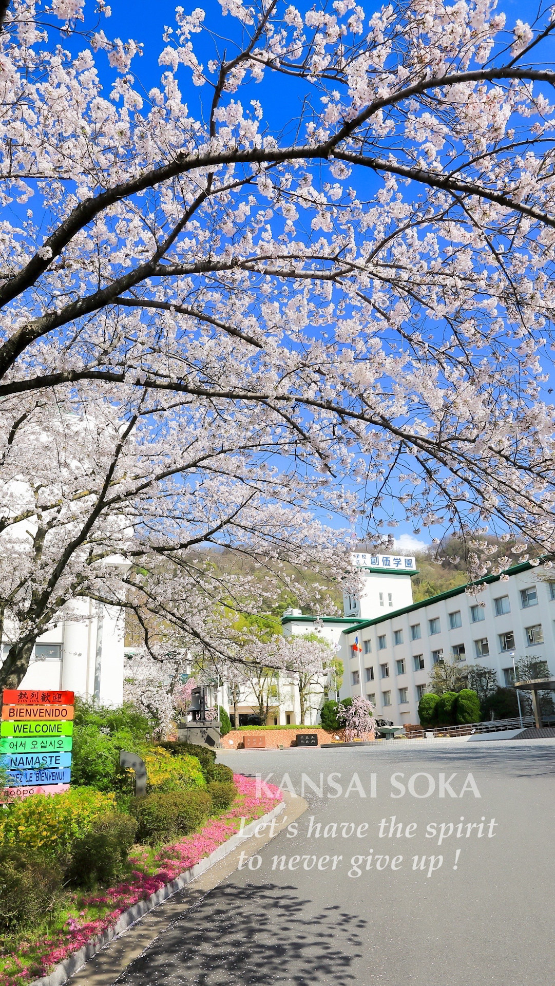 学園桜 スマホに入れませんか 関西創価高等学校